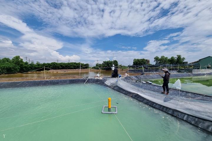Bạt HDPE là gì và ứng dụng trong ngành thủy sản
