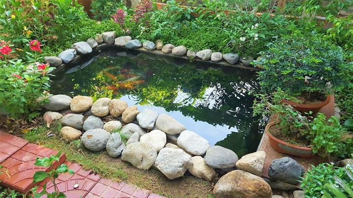 Cách lựa chọn bạt lót hồ cá koi phù hợp
