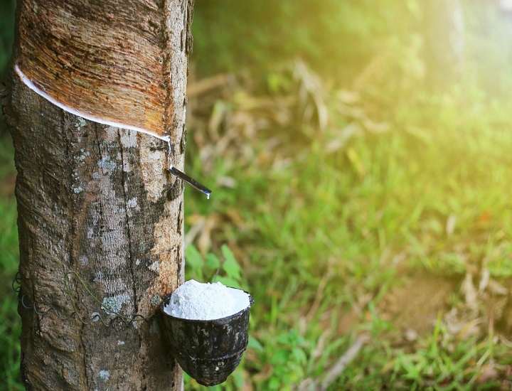 Cao su nhân tạo dùng để làm gì? Lợi ích khi sử dụng