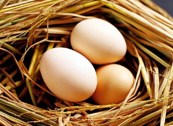 Liều lượng trứng gà phù hợp trong cháo cho bé theo độ tuổi