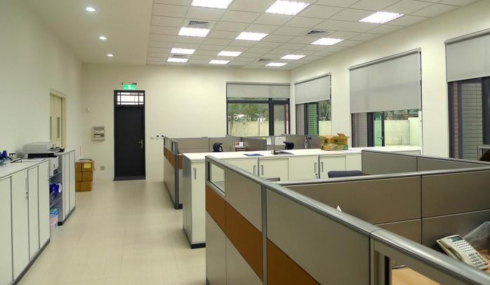 mang den paragon