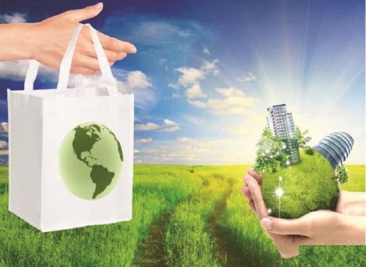 Hướng dẫn xây dựng blog chuyên về môi trường từ góc nhìn SEO