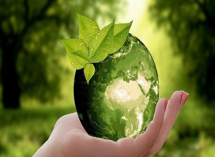 7 ý tưởng content giúp truyền cảm hứng bảo vệ thiên nhiên