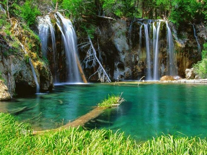 Bất ngờ trước vẻ đẹp thiên nhiên tại khu du lịch Suối Mơ - Sức khỏe & Môi trường