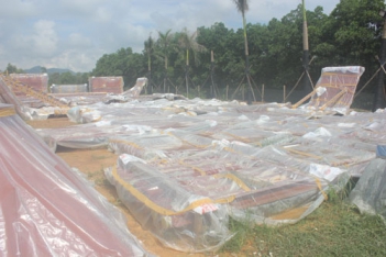Chủ đầu tư Dự án XLCT công nghiệp tại Nam Sơn thừa nhận sai sót - Sức khỏe & Môi trường