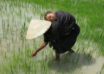 Phân tích tác phẩm Hạnh phúc của một tang gia của Vũ Trọng Phụng - Sức khỏe & Môi trường