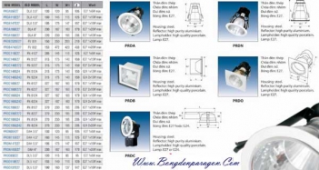 Đèn downlight Paragon an toàn và hiệu quả - Sức khỏe & Môi trường