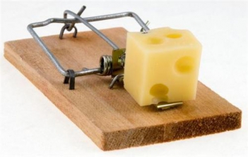 Những cách bẫy chuột đơn giản dễ làm mà lại hiệu quả - Sức khỏe & Môi trường