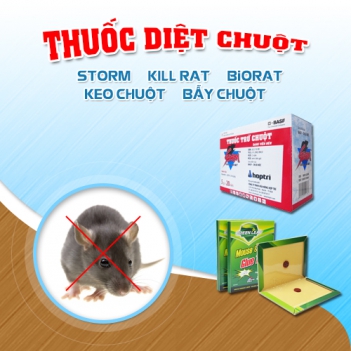 Sử dụng thuốc diệt chuột Biorat đánh tan mọi nỗi lo về chuột - Sức khỏe & Môi trường