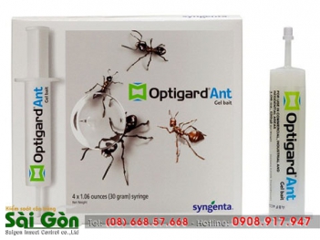 Giải pháp diệt kiến tiết kiệm và hiệu quả - Sức khỏe & Môi trường