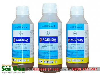 Một số lưu ý khi sử dụng thuốc diệt mối - Sức khỏe & Môi trường