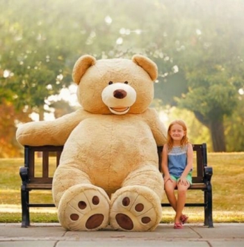 Bí quyết làm sạch gấu bông đúng cách - Sức khỏe & Môi trường