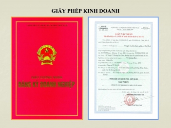 Cần biết gì khi làm thủ tục cấp giấy phép kinh doanh xăng dầu - Sức khỏe & Môi trường