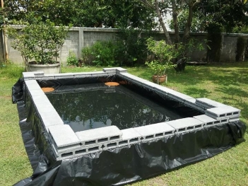 Cách lựa chọn bạt lót hồ cá koi phù hợp - Sức khỏe & Môi trường