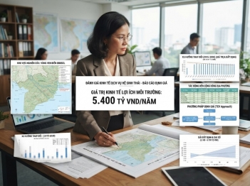 Cách diễn giải kết quả định giá môi trường đúng phạm vi