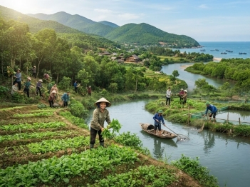 Giá trị sử dụng trực tiếp của môi trường phát sinh từ đâu?