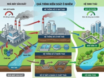 Giảm thiểu ô nhiễm hướng tới giảm tác động bằng cách nào?