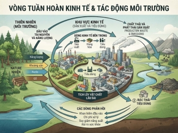Phân tích hệ thống kinh tế môi trường cần xem xét những mối liên kết nào?