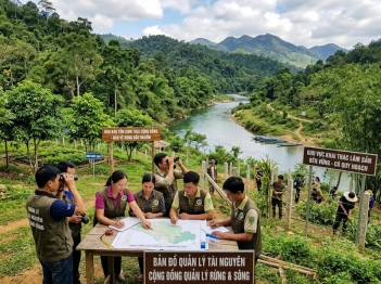 Quyền tài sản và môi trường hỗ trợ quản lý tài nguyên thế nào?