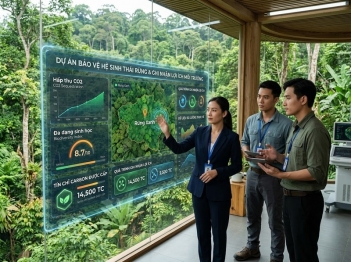 Tín chỉ môi trường được tạo và sử dụng theo cơ chế nào?