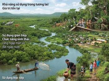 Tổng giá trị kinh tế của môi trường gồm những thành phần nào?