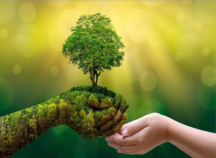 phân tích nội dung xanh và nhân văn