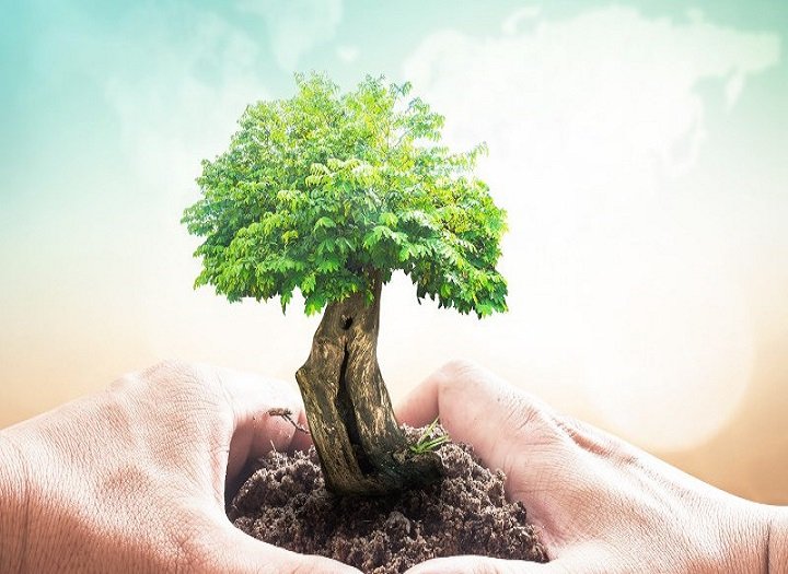 Cách viết content giúp nâng cao nhận thức bảo vệ môi trường - Sức khỏe & Môi trường
