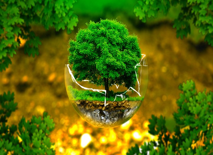 ý tưởng content về bảo vệ thiên nhiên